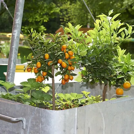 Camping Tcs Camping Eymatt Berne